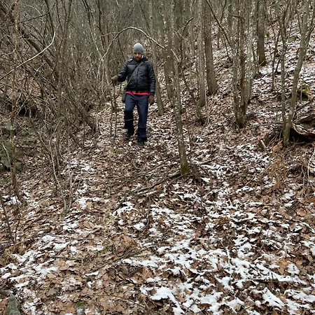 Дом отдыха Borjak Vikendica