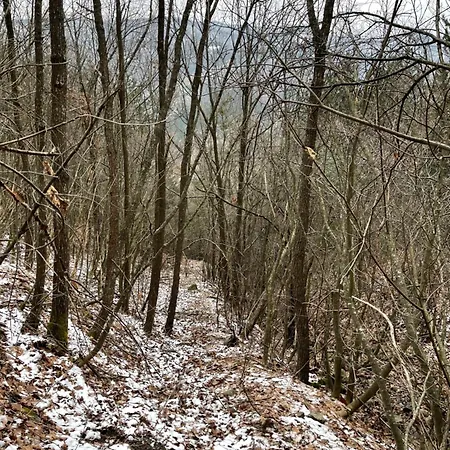 Borjak Vikendica Дом отдыха Kamenica (Kraljevo)