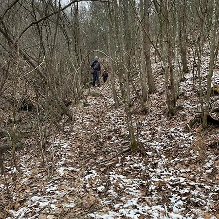 Дом отдыха Borjak Vikendica