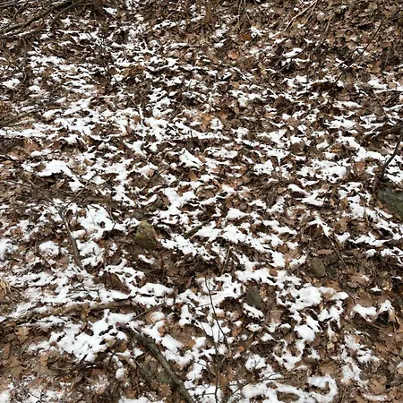 Дом отдыха Borjak Vikendica Kamenica (Kraljevo)